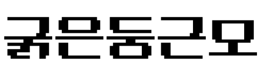 굵은둥근모