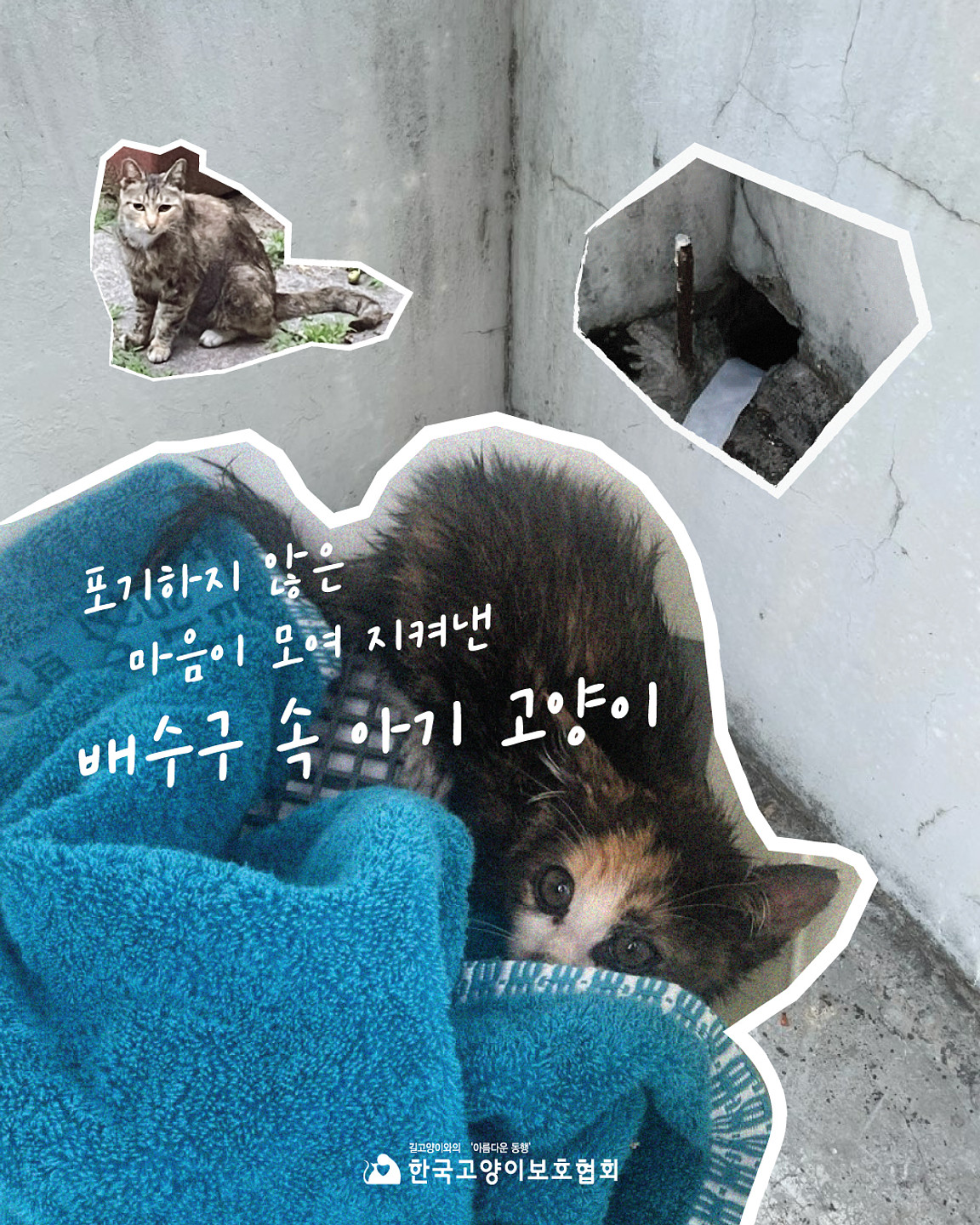 Ongleip Yeongrong 아무 디자인