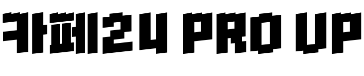 카페24 PRO UP